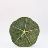 Assiette en céramique en forme de chou 22cm - Verte
