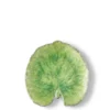 Assiette en grés "Alchemille" - Vert d'eau