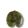 Assiette en grés "Alchemille" - Vert sombre
