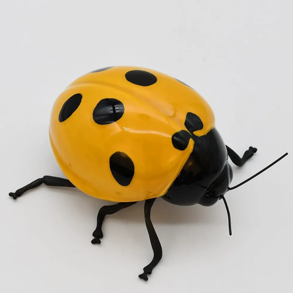 Coccinelle en céramique "Joaninha, voa, voa"