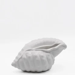 Coquillage en céramique 24cm - Blanc