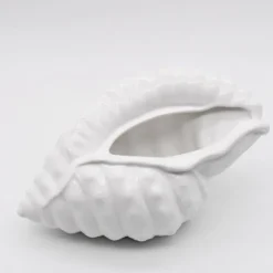 Coquillage en céramique 24cm - Blanc