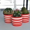 Ensemble de 3 pots "Costa nova" - Rouge