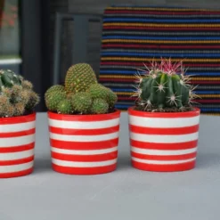 Ensemble de 3 pots 