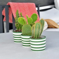 Ensemble de 3 pots "Costa nova" - Vert