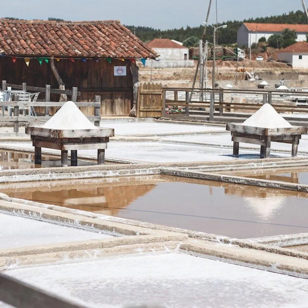Fleur de sel du Rio Maior
