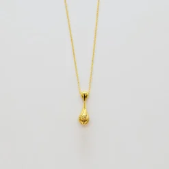Gota de Luz I Collier en argent doré