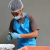 Papa Anzóis I Conserve de sardines à l'huile d'olive vierge extra biologique