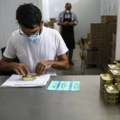 Papa Anzóis I Conserve de sardines à l'huile d'olive vierge extra biologique