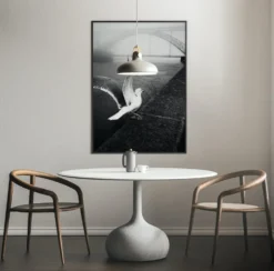 Photo d'art signée 