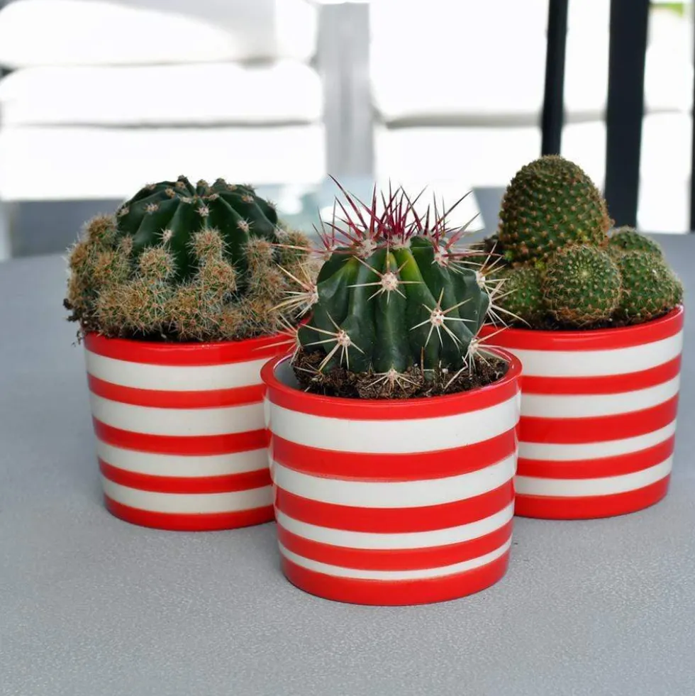 Pot en céramique "Costa nova" - Rouge