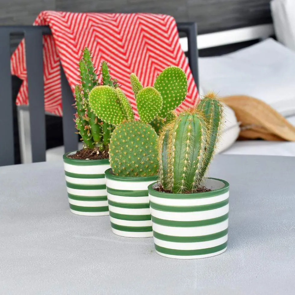 Pot en céramique "Costa nova" - Vert