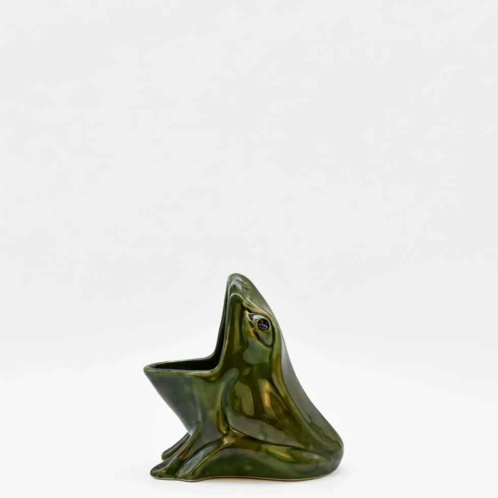 Pot à éponge en céramique en forme de grenouille