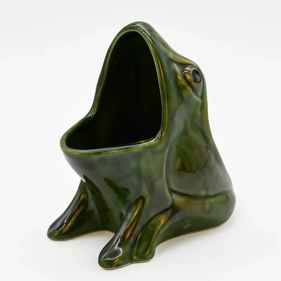 Pot à éponge en céramique en forme de grenouille