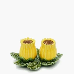 Salière & Poivrière en forme de Tournesol