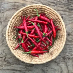 Sauce Piri-Piri Portugais - Fort