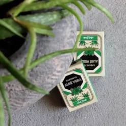 Savon hydratant à l'Aloe vera