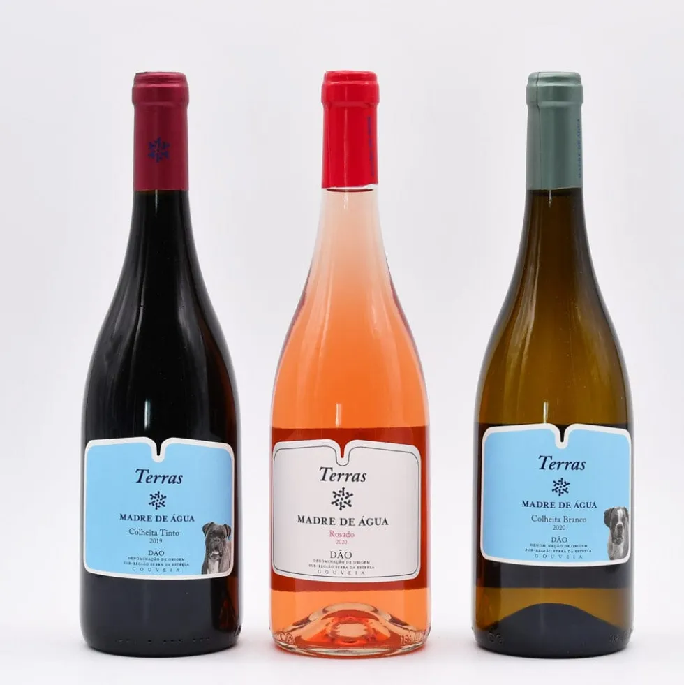 Terras Madre de água 2019 I Vin rouge du Dão - 75cl