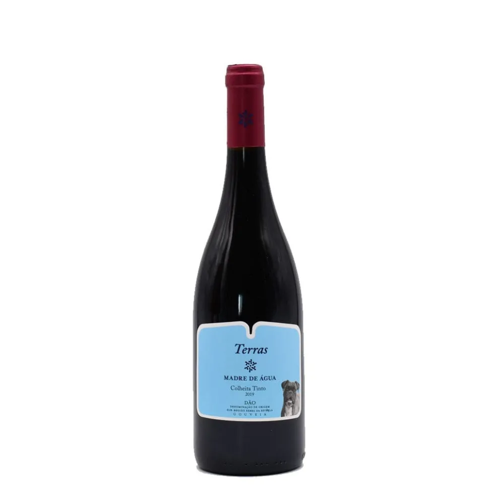 Terras Madre de água 2019 I Vin rouge du Dão - 75cl